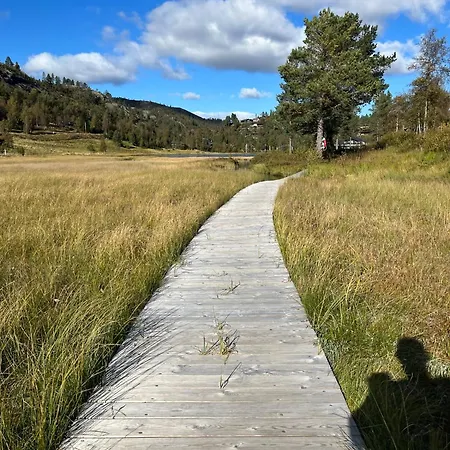 Fjellro Pa Bortelid - Naer Turstier Og Badevann Appartamento Tjaldal