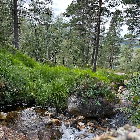 Fjellro Pa Bortelid - Naer Turstier Og Badevann *